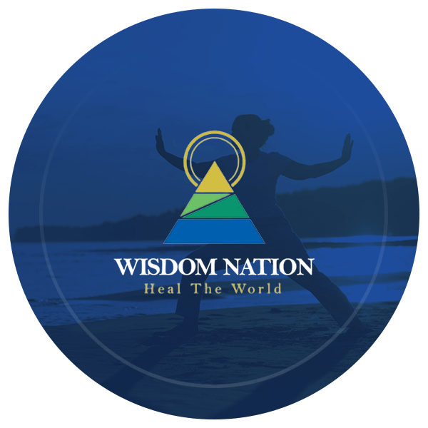 Profil Wisdom Nation-min